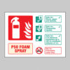 P50 Foam spray extinguisher identification