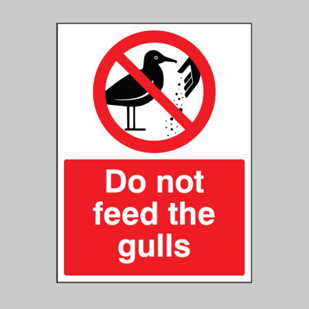 Please do not feed the gulls