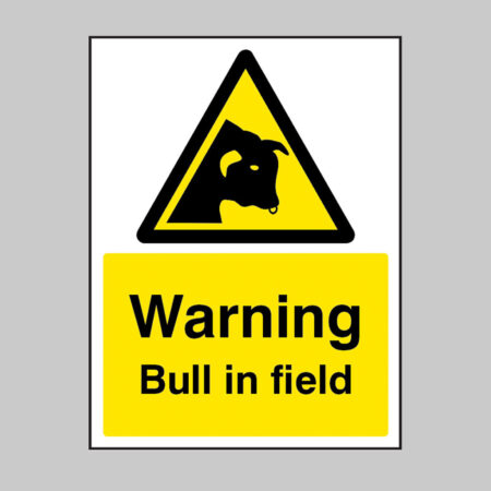 Warning Bull in field